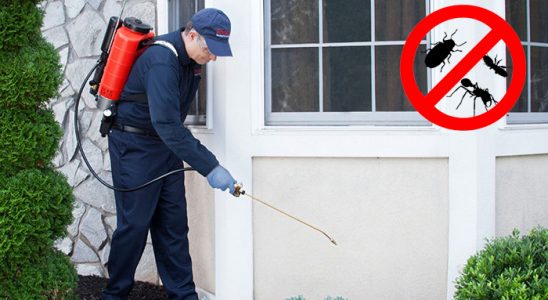 Sütçüler Böcek İlaçlama böcek ilaçlama ve haşere kontrolü — ilaclama-tr.com